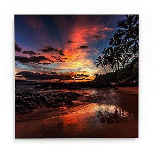 Trademark Fine Art Hawaiian Sunset Wonder by Pierre Leclerc White Metal Art 16x16 MultiColor Trademark Fine Art Hawaiian Sunset Wonder by Pierre Leclerc White Metal Art 16x16 MultiColor