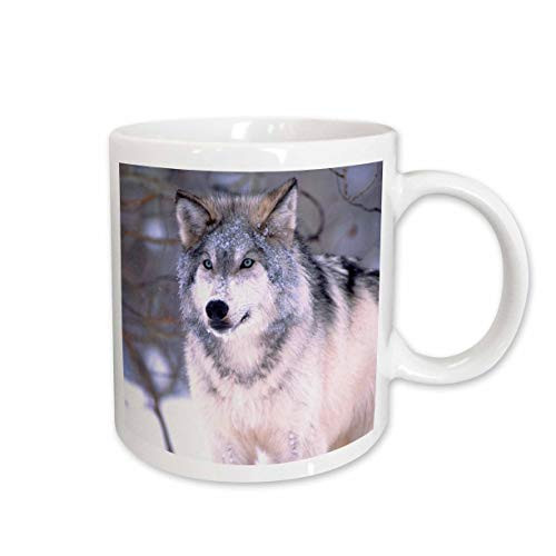 3dRose Timber Wolf Canis Lupus NA02 DNO0319 David Northcott Mug 11Ounce 3dRose Timber Wolf Canis Lupus NA02 DNO0319 David Northcott Mug 11Ounce
