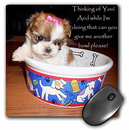 3dRose LLC 8 x 8 x 025 Inches Mouse Pad Shih Tzu Puppy Thinking of You mp395691 3dRose LLC 8 x 8 x 025 Inches Mouse Pad Shih Tzu Puppy Thinking of You mp395691