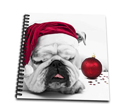3dRose db628263 Sleeping Bulldog in a Santa Hat Christmas Card Photo Courtesy of Esther MatheusMini Notepad 4 by 4