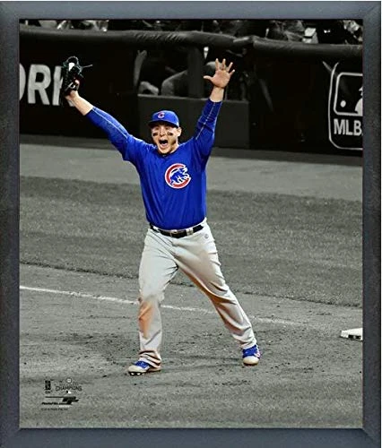 Anthony Rizzo Chicago Cubs World Series Spotlight Photo Size 12 x 15 Framed