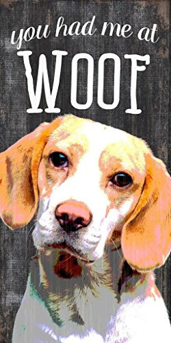 Pet Dog Wood Sign  Beagle  You Had Me at Woof