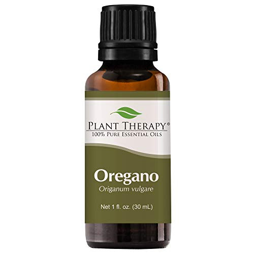 Plant Therapy Oregano Essential Oil 100 Pure Undiluted Natural Aromatherapy Therapeutic Grade 30 mL 1 oz