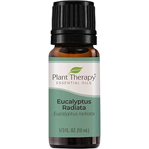Plant Therapy Eucalyptus Radiata Essential Oil 10 mL 13 oz 100 Pure Undiluted Therapeutic Grade Plant Therapy Eucalyptus Radiata Essential Oil 10 mL 13 oz 100 Pure Undiluted Therapeutic Grade