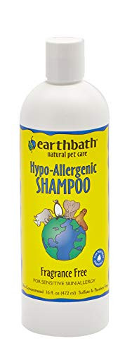 Earthwhile Endeavors Inc 16 oz HypoAllergenic Shampoo