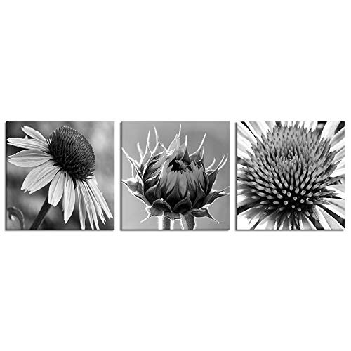 Nachic Wall 3 Piece Black and White Flower Canvas Wall Art Close Up Sunflower Monochrome Photo Art Print on Canvas Modern Floral Painting for Bedroom Bathroom Decor Framed Ready to Hang 12x12x3pcs Nachic Wall 3 Piece Black and White Flower Canvas Wall Art Close Up Sunflower Monochrome Photo Art Print on Canvas Modern Floral Painting for Bedroom Bathroom Decor Framed Ready to Hang 12x12x3pcs