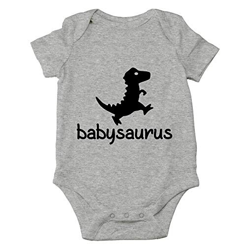 Crazy Bros Tees Babysaurus  Little Baby Dino Funny Cute Novelty Infant OnePiece Baby Bodysuit 6 Months Heather Grey