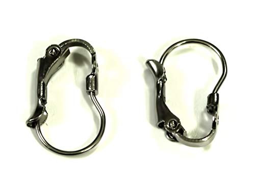 ALL in ONE 100pcs Stainless Steel French Earring Hook Ear Wire Lever Back Open Loop for DIY Craft Jewelry Making Findings