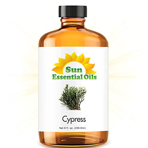 Cypress Essential Oil Huge 8oz Bottle Bulk Cypress Oil  8 Ounce