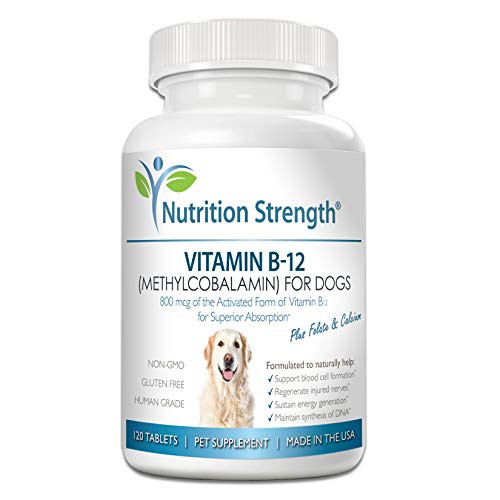 Nutrition Strength Vitamin B12 for Dogs Plus Folate Calcium Support The Nervous System Blood Cell Formation Help Sustain Cellular Energy Generation Maintain DNA Synthesis 120 Chewable Tablets Nutrition Strength Vitamin B12 for Dogs Plus Folate Calcium Support The Nervous System Blood Cell Formation Help Sustain Cellular Energy Generation Maintain DNA Synthesis 120 Chewable Tablets