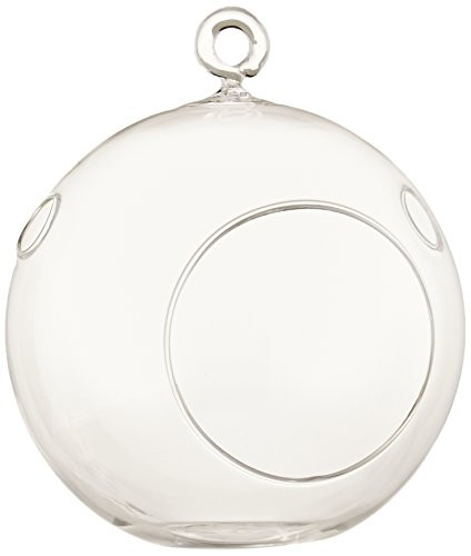 65Inch Hanging Glass Terrariums for Succulents and Air Plants Large Glass Orb Planters Set of 2