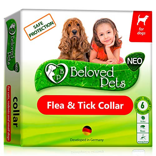 Flea and Tick Collar for Dogs and Cats  Natural Flea Treatment for Pets Kittens Puppies  Flea Prevention Up to 6 Months NonAllergic Repellent  Immediate Flea Control