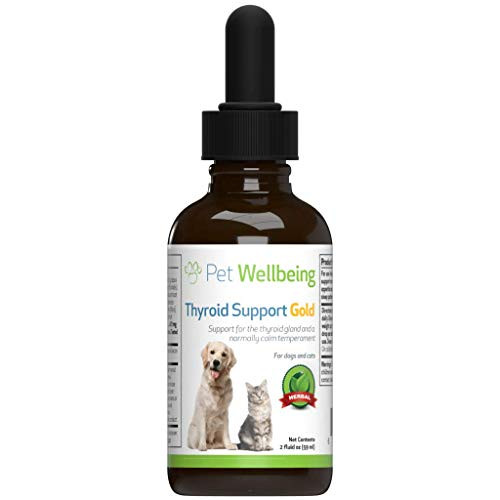 Pet Wellbeing  Thyroid Support Gold for Dogs  Natural Support for Thyroid Gland and Normal Calm Temperament in Canines  2oz 59ml