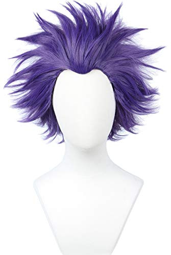 Linfairy Anime Cosplay Wig Short Halloween Costume Hero Wig Purple
