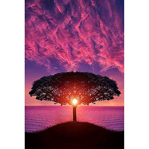 DIY 5D Diamond Painting by Number Kits Crystal Rhinestone Diamond Embroidery Paintings Pictures Arts Craft for Home Wall Decor Full DrillBeautiful Sunset DIY 5D Diamond Painting by Number Kits Crystal Rhinestone Diamond Embroidery Paintings Pictures Arts Craft for Home Wall Decor Full DrillBeautiful Sunset