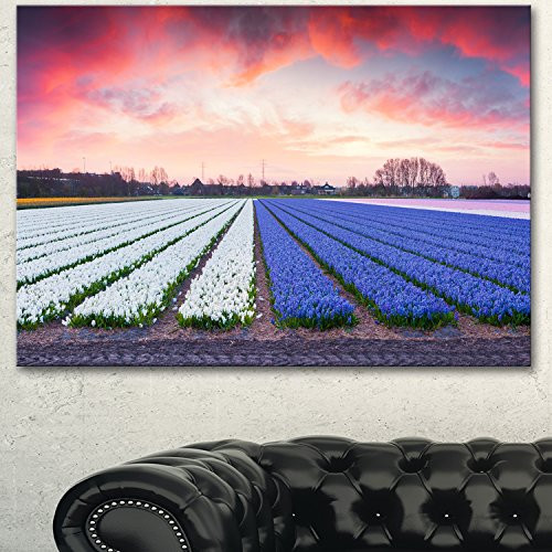Fields of Blooming Hyacinth Flowers Landscape on Canvas Art Wall Photgraphy Artwork Print Fields of Blooming Hyacinth Flowers Landscape on Canvas Art Wall Photgraphy Artwork Print