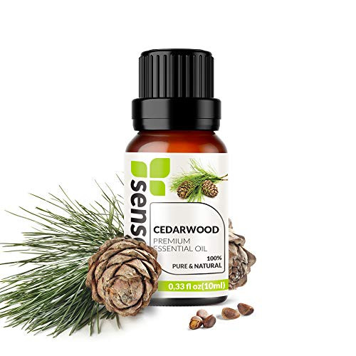 Cedarwood Essential Oil  Made in India  100 Pure Extract Cedarwood Oil Therapeutic Grade 033 Fl Oz  10 ml