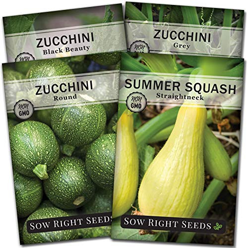 Sow Right Seeds  Zucchini Squash Seed Collection for Planting  Black Beauty Grey Round Zucchinis and Yellow Straightneck Summer Squash NonGMO Heirloom Seeds to Plant a Home Vegetable Garden Sow Right Seeds  Zucchini Squash Seed Collection for Planting  Black Beauty Grey Round Zucchinis and Yellow Straightneck Summer Squash NonGMO Heirloom Seeds to Plant a Home Vegetable Garden