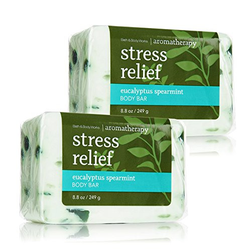 Bath  Body Works Aromatherapy Stress Relief Eucalyptus Spearmint Body Bar 2 Pack