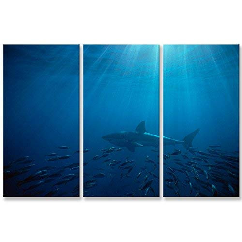 So Crazy Art White Shark in The Blue Ocean Wall Art Decor Marine Life Canvas Pictures Artwork 3 Panel Animal Painting Prints for Home Living Dining Room Kitchen So Crazy Art White Shark in The Blue Ocean Wall Art Decor Marine Life Canvas Pictures Artwork 3 Panel Animal Painting Prints for Home Living Dining Room Kitchen