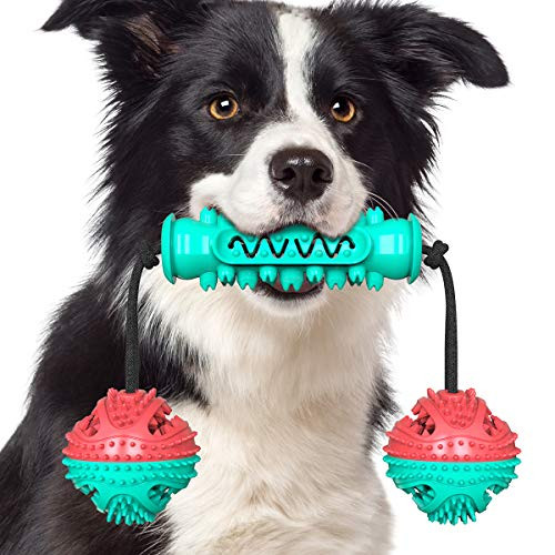 Dog Chew Toy for Aggressive Chewers Dental Chew Toys for Dogs Puppy Teething Chew Toys Dog Rope Tug Toy Dog Teething Clean Chew Toy Jolly Ball for DogsIndestructible Dog ToysTeethers for Dogs Dog Chew Toy for Aggressive Chewers Dental Chew Toys for Dogs Puppy Teething Chew Toys Dog Rope Tug Toy Dog Teething Clean Chew Toy Jolly Ball for DogsIndestructible Dog ToysTeethers for Dogs