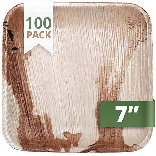 CaterEco Square Palm Leaf Plates Set Pack of 100  Salad Plates  Ecofriendly Disposable Dinnerware  Heavy Duty Biodegradable Party Utensils for Wedding Camping  More