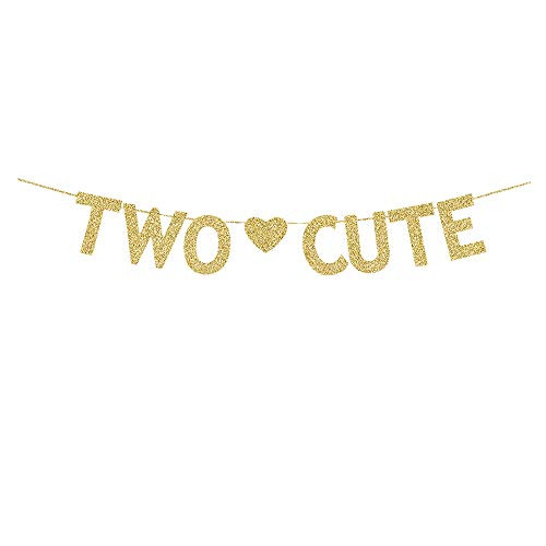 Two Cute Banner Gold Gliter Paper Sign Decors for Babys 2nd Birthday