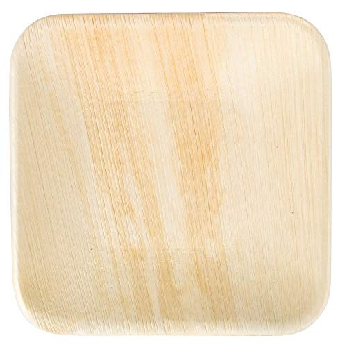 MM Foodservice Disposable Palm Leaf Square Plates EcoFriendly Compostable and Biodegradable Plates Palm Leaf Dinnerware Set of 25 Square  6 Inch