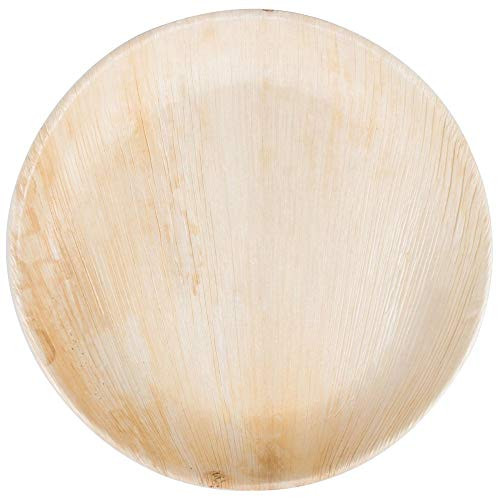 MM Foodservice Disposable Palm Leaf Square Plates EcoFriendly Compostable and Biodegradable Plates Palm Leaf Dinnerware Set of 25 Round  10 Inch