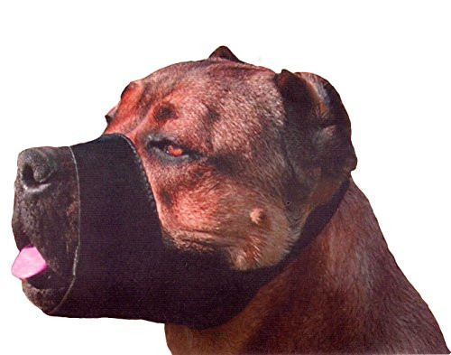 Quick Fit Nylon Dog Muzzle Medium Fits Snout Size 78 Black