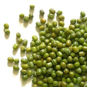 Sprouting Seeds Mung Bean 1 Pound  Todds Seeds