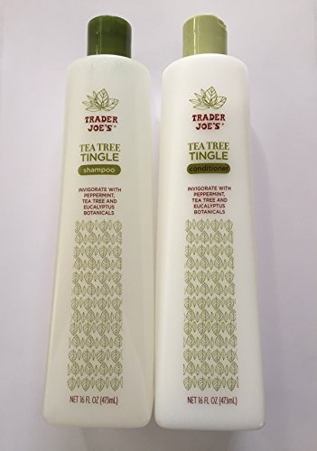 Trader Joes Tea Tree Tingle Shampoo  Conditioner