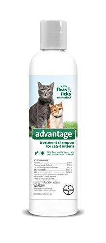 Advantage Flea and Tick Treatment Shampoo for Cats and Kittens 8 oz