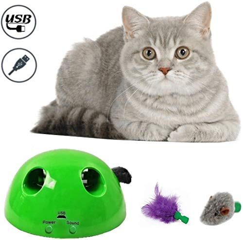 Cat Interactive ToysAutomatic Interactive Motion Cat ToyNewest USB Rechargeable Cat Teaser Toys with Electronic Smart Random Moving Feather Mouse TeaserMouse Squeak Sound Optional Auto Shut Off Cat Interactive ToysAutomatic Interactive Motion Cat ToyNewest USB Rechargeable Cat Teaser Toys with Electronic Smart Random Moving Feather Mouse TeaserMouse Squeak Sound Optional Auto Shut Off