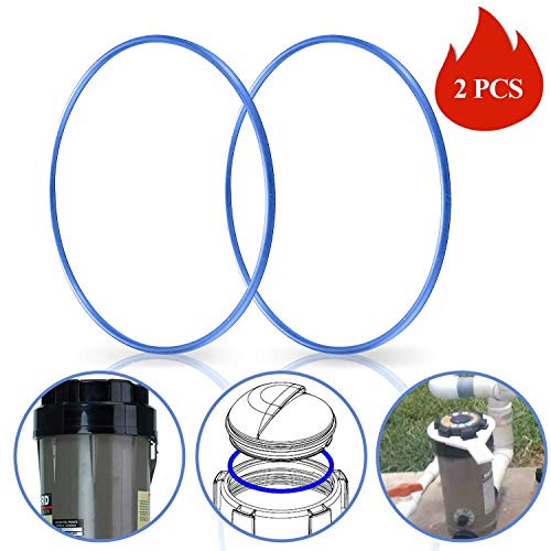 GORNORVA Hayward Chlorinator ORing2 Pack Chlorine Resistant VITON for Hayward CL200  CL220 Pool Chlorinator Chemical Feeder Lid