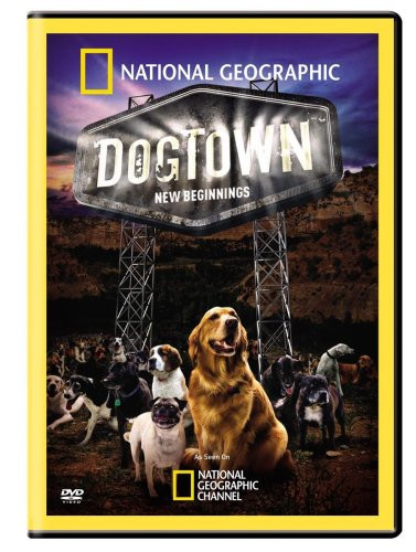Dogtown New Beginnings