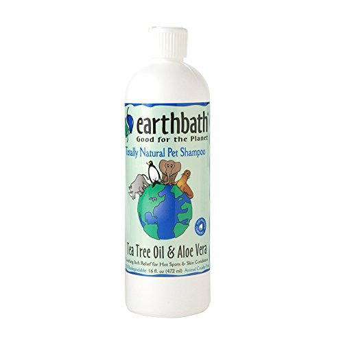 Earthbath 840122 All Natural Shampoo 2 Pack 16 oz