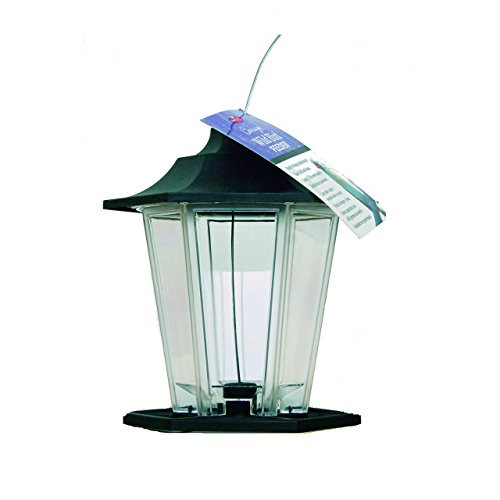 PerkyPet 310 Carriage Bird Feeder