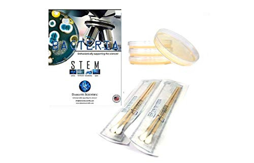 Diamante Scientific Student Bacteria Growing Science Fair Kit Four 4 PrePoured Agar Plates 100mm  Swabs Perfect for Kids Great for Learning About Microbiology Free eBook Available