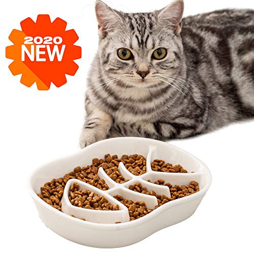 Slow Feeder Cat Dog Bowl Ceramic Cat Bowl Fun Interactive Feeder Bowl Preventing Pet Feeder AntiGulping Healthy Eating Diet Cat Bowls