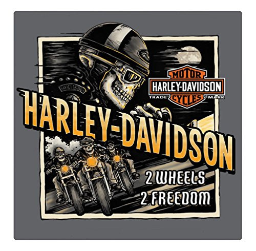 HarleyDavidson Road Rage Skeleton Embossed Tin Sign 145 x 145 inches 2011321