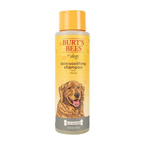 Burts Bees for Dogs Natural Skin Soothing Shampoo with Honey  Puppy and Dog Shampoo 16 Ounces Burts Bees for Dogs Natural Skin Soothing Shampoo with Honey  Puppy and Dog Shampoo 16 Ounces