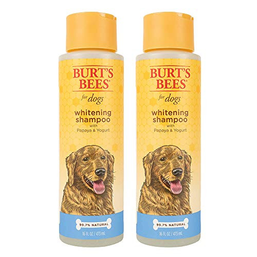Burts Bees for Dogs Natural Whitening Shampoo with Papaya and Yogurt  Puppy and Dog Shampoo 16 Ounces  2 Pack Burts Bees for Dogs Natural Whitening Shampoo with Papaya and Yogurt  Puppy and Dog Shampoo 16 Ounces  2 Pack