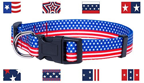Native Pup American Flag Dog Collar Large Flag II