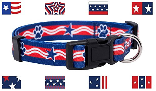 Native Pup American Flag Dog Collar Medium Paws