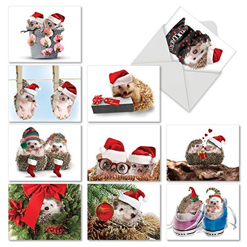 Holiday Cards From The Hedge Blank Christmas Cards with Envelopes Boxed Set of 10 Festive Hedgehog Holiday Notes 4 x 512 inch Cute Hedgehogs with Santa Hats Christmas Cards M6541XSB