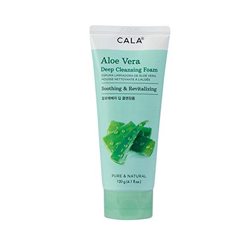 Light So Shine Deep Cleansing Facial Foam 41 fluid ounce Aloe Vera