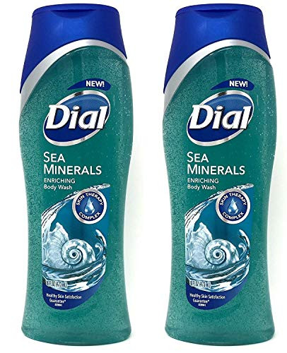 Dial Skin Therapy Enriching Body Wash Sea Minerals 16 oz Pack of 2