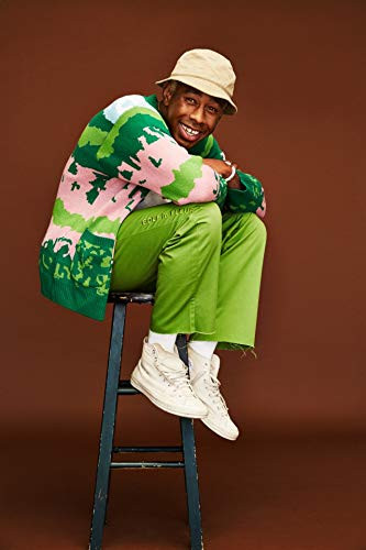 Tyler The Creator Picture Poster 12 x 18 Inch