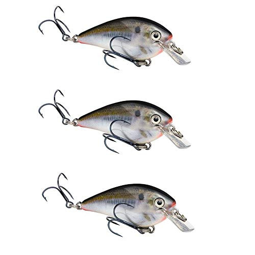 Strike King KVD Square Bill 10 Natural Shad 3Pack